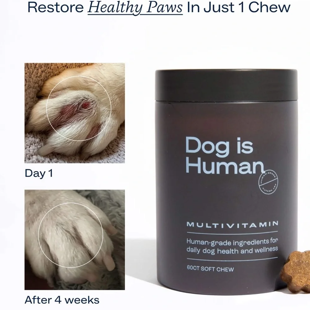 ๐คDog Is Human Multi X3 Bundle๐ค - Picture 2 of 5